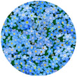 Load image into Gallery viewer, Forget Me Not: Jar Opener