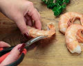 Endurance Seafood Scissors