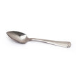 Load image into Gallery viewer, Endurance Grapefruit Spoon
