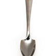Load image into Gallery viewer, Endurance Grapefruit Spoon
