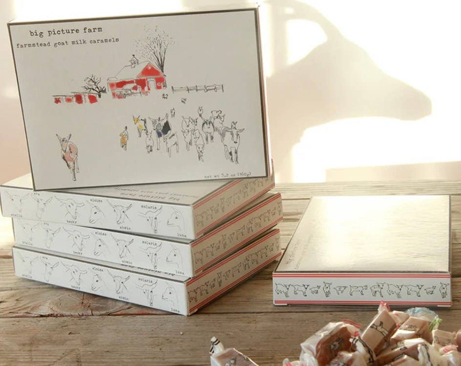 Storyboard Goat Milk Caramel: Sea Salt Vanilla