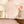 Load image into Gallery viewer, PEMBROKE PINK EDGE SCALLOP
