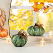 Load image into Gallery viewer, 5.75 in D X 4.75 in H Glass Pumpkin
