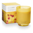 Load image into Gallery viewer, Illume Rhubarb Honey Boxed Glass
