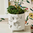 Load image into Gallery viewer, Butterfly Footed Cachepot
