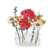 Load image into Gallery viewer, Hinged Vases s/5
