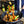 Load image into Gallery viewer, “Frizzle” Squeeze: 1 Bottle
