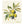 Load image into Gallery viewer, Olives Swedish Dishcloth
