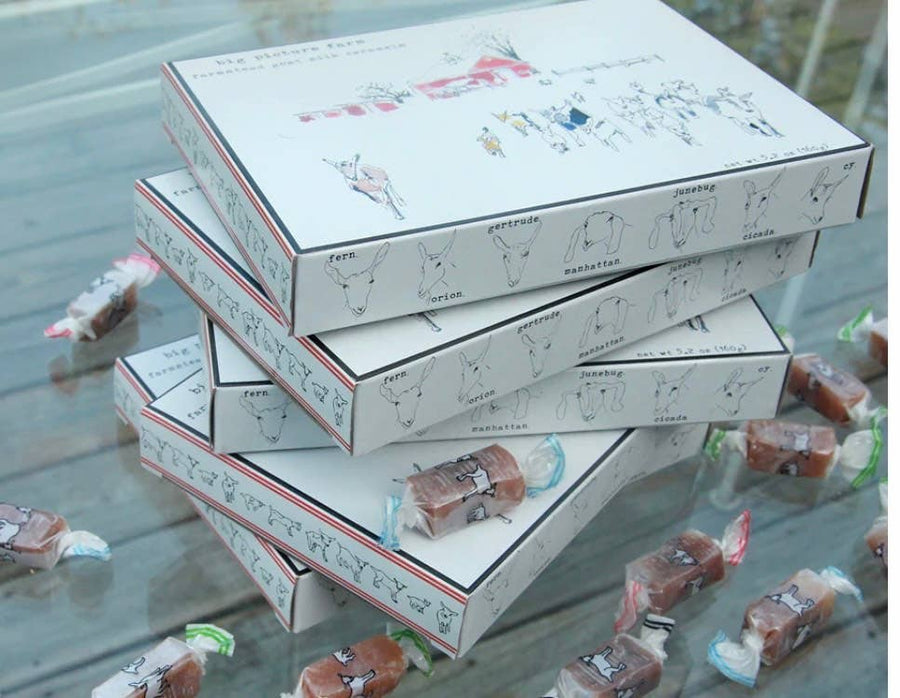 Storyboard Goat Milk Caramel: Sea Salt Vanilla