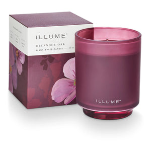 Oleander Oak Glass Candle