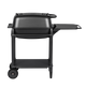 New Original PK300 Grill