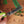 Load image into Gallery viewer, Herb Scissors
