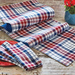 Load image into Gallery viewer, Arlo Plaid Napkin Set/4
