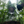 Load image into Gallery viewer, ORIGAMI Dripper Air S: Black
