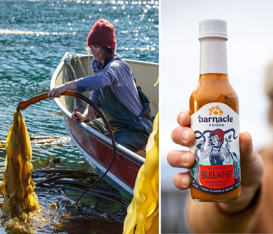 Bullwhip Hot Sauce