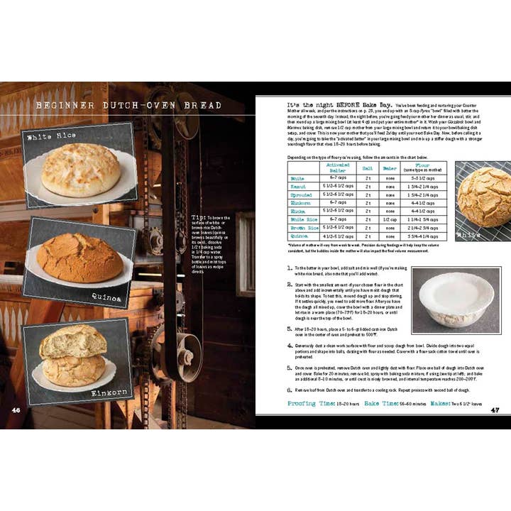 Wild Bread: Sourdough Reinvented Cookbook