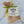 Load image into Gallery viewer, Classic Olive Oil Cake Mix
