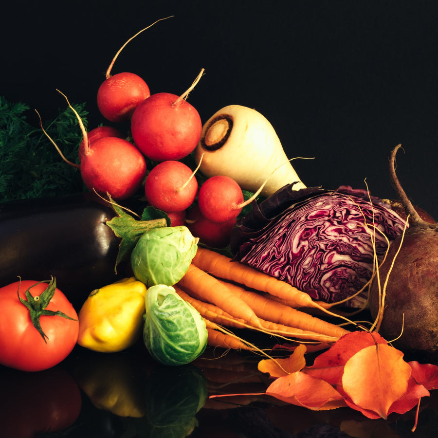 1/13/26 PLANT-BASED 101