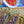 Load image into Gallery viewer, 5/15/25 SPANISH TAPAS
