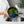 Load image into Gallery viewer, Silicone Clip On Pot Strainer
