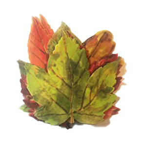 PARCHMENT PAPER LEAVES